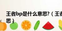 王者bp是什么意思?(王者荣耀bp是什么意思)