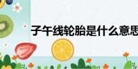 子午线轮胎是什么意思(子午线)