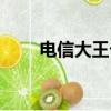 电信大王卡套餐介绍（电信大王卡）