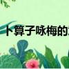 卜算子咏梅的意思简短（卜算子咏梅的意思）