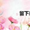 留下来金莎（留下来 金莎）