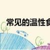 常见的温性食物有哪些（温性食物有哪些）