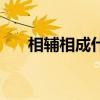 相辅相成什么意思（暴风骤雨的意思）