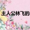 主人公林飞的小说（有一部小说主角叫林飞）