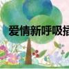 爱情新呼吸插曲有哪些（爱情新呼吸插曲）
