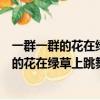 一群一群的花在绿草上跳舞狂欢仿写拟人句有的（一群一群的花在绿草上跳舞狂欢有的）