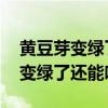 黄豆芽变绿了还能吃吗 会不会有毒（黄豆芽变绿了还能吃吗）