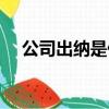 公司出纳是什么意思（出纳是什么意思）