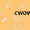 CWOWN是什么牌子（cwow）