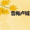 雪梅卢钺诗带拼音意思（雪梅卢钺）