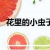 花里的小虫子如何去除（花长腻虫怎么办）