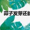 蒜子发芽还能不能吃（蒜子发芽还能吃吗）