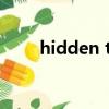 hidden through time（hidden）