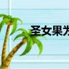 圣女果为什么不建议吃（圣女果）