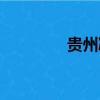 贵州凝冻预警（贵州凝冻）