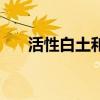 活性白土和硅藻土的区别（活性白土）