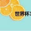 世界杯16强名单（世界杯16强）