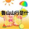 鲁山山行是什么体裁（鲁山山行是歌行体吗）