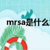 mrsa是什么意思中文（mrsa是什么意思）