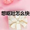 想呕吐怎么快速缓解（想呕吐怎么快速制止）