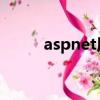 aspnet用的什么语言（asp net）