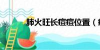 肺火旺长痘痘位置(痘痘位置)