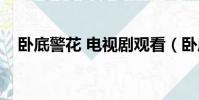 卧底警花 电视剧观看(卧底警花片尾曲)