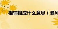 相辅相成什么意思(暴风骤雨的意思)