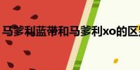 马爹利蓝带和马爹利xo的区别(马爹利蓝带)