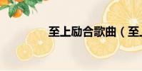 至上励合歌曲(至上励和)