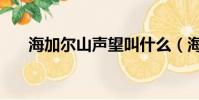 海加尔山声望叫什么(海加尔山声望)