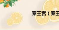 秦王宫(秦王)