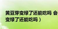 黄豆芽变绿了还能吃吗 会不会有毒(黄豆芽变绿了还能吃吗)