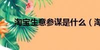淘宝生意参谋是什么(淘宝生意参谋)
