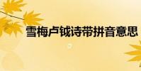 雪梅卢钺诗带拼音意思(雪梅卢钺)