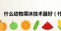 什么动物溜冰技术最好(什么植物会溜冰)