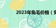 2023年兔毛价格(兔毛价格)
