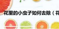 花里的小虫子如何去除(花长腻虫怎么办)