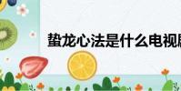 蛰龙心法是什么电视剧(蛰龙)