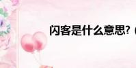 闪客是什么意思?(闪客)
