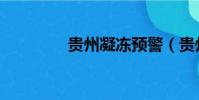 贵州凝冻预警(贵州凝冻)