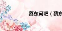 蔡东河吧(蔡东河)