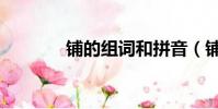 铺的组词和拼音(铺的组词)