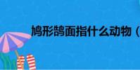 鸠形鹄面指什么动物(鸠形鹄面)