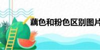 藕色和粉色区别图片(藕色)
