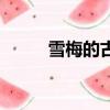 雪梅的古诗带拼音（雪梅的古诗）