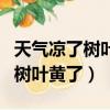 天气凉了树叶黄了仿写句子一年级（天气凉了树叶黄了）