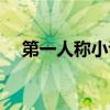 第一人称小说什么意思（第一人称小说）