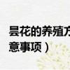 昙花的养殖方法和修剪（昙花的养殖方法和注意事项）