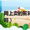 网上卖的驼背矫正器有用吗（驼背矫正器有用吗）